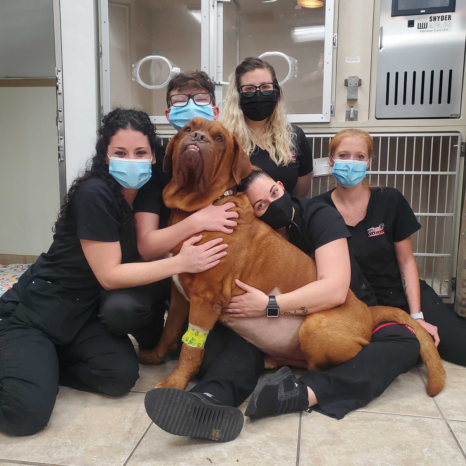 Veterinary Jobs in Lakeland, FL AscendVets