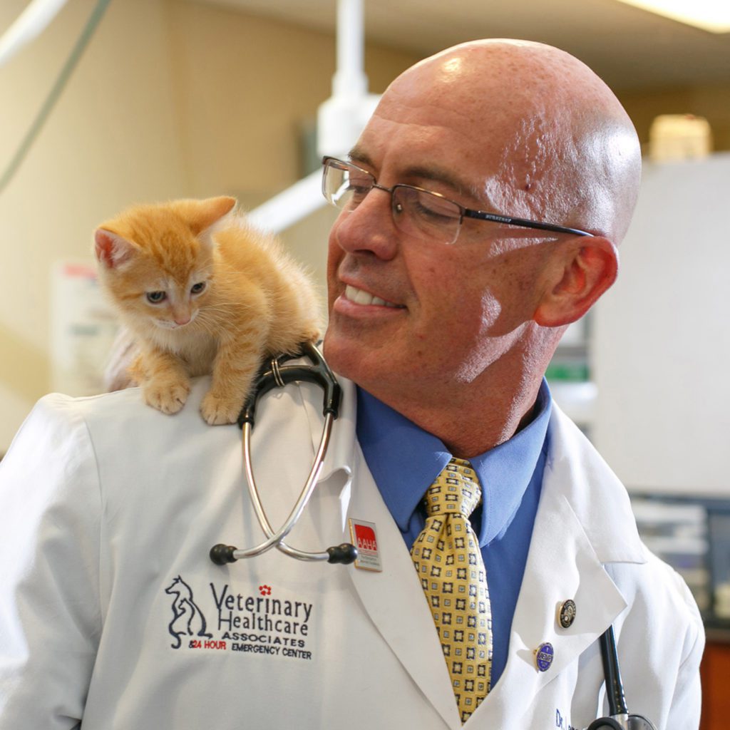 Veterinary Jobs in Lakeland, FL AscendVets